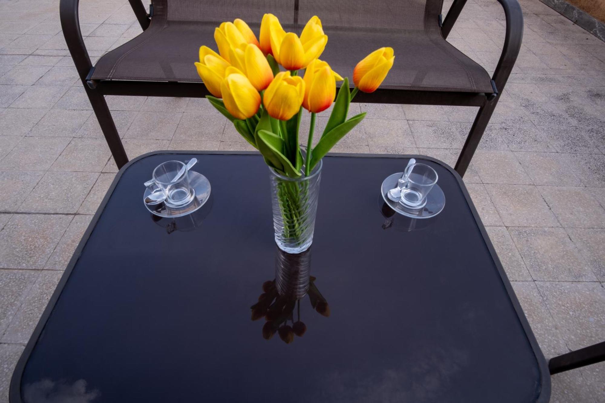 Appartamento Elegantis La Dolce Vista With Private Terrace And Fantastic View *